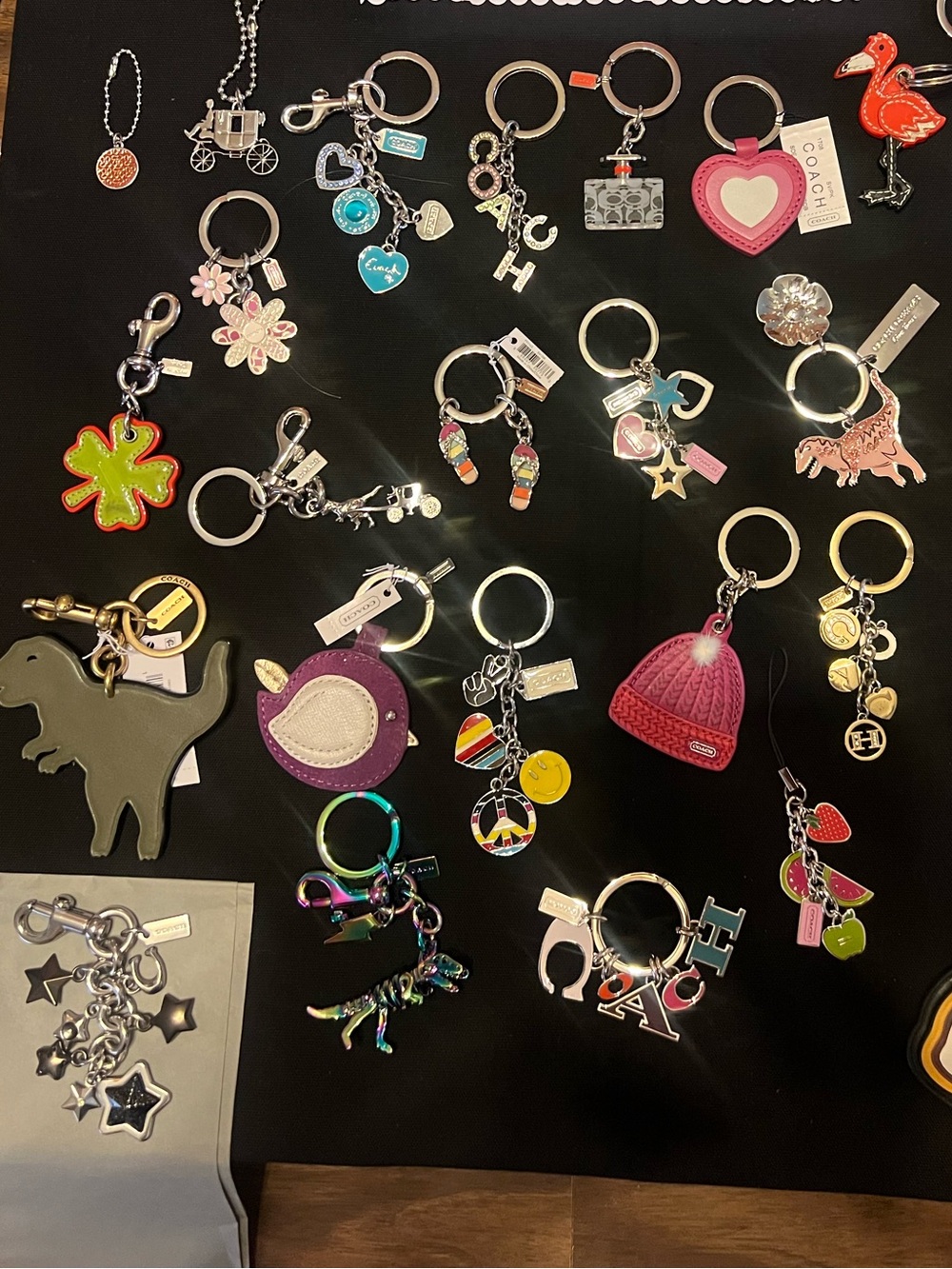 Coach Charms and Keyrings - 1st Drop Pending for listenings!!!